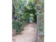 EN VENTA TERRENO CON CASA A DEMOLER VILLA MORRA