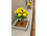 borde de hormigón para jardin