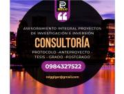 TESIS ASESORÍA PROFESIONAL
