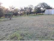 Vendo 2 terrenos juntos en Falcón