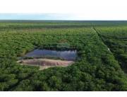 VENDO CAMPO EN PUERTO CASADO 312 HECTAREAS