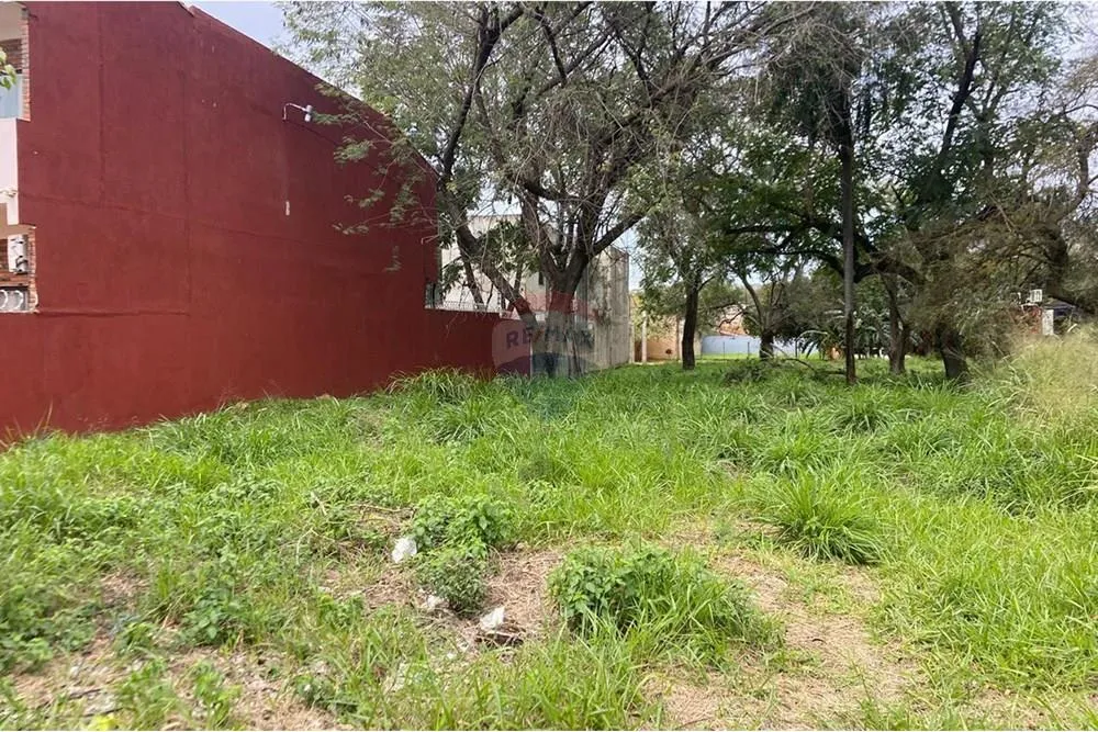 VENDO 3 TERRENOS JUNTOS EN VILLA AMELIA, ZONA PINEDO SHOPPING - SAN LORENZO — foto 2