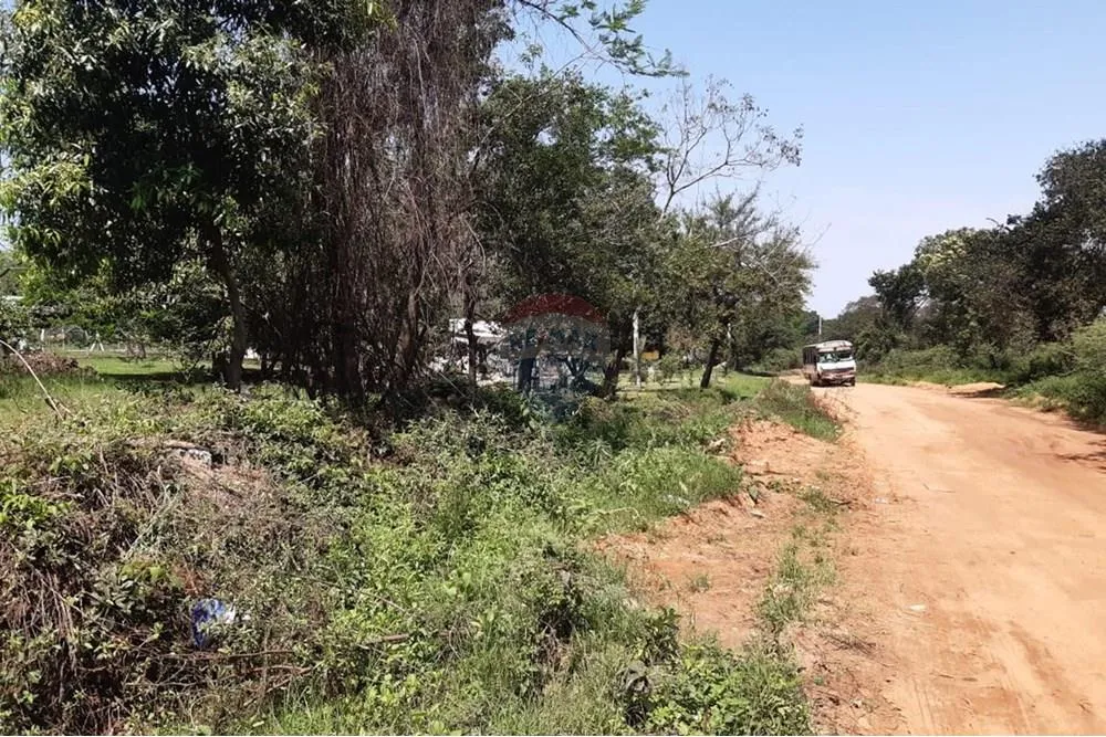 VENDO 3 TERRENO EN LUQUE junto o separados — foto 2