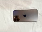 iPhone 13pro de 256 GB, Apple