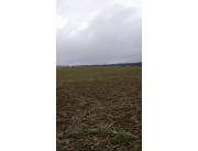Vendo Campo de 871 Hectáreas en San Alberto, Alto Paraná - CLCS7387116
