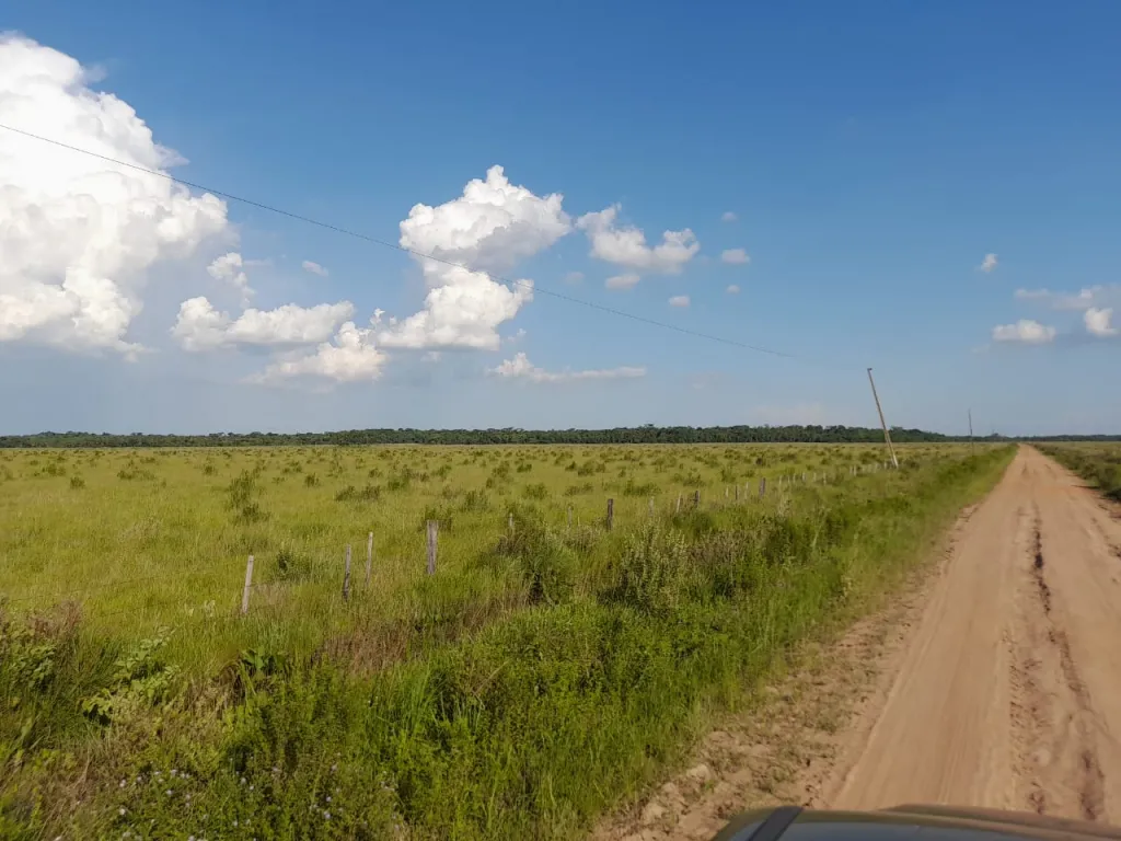 Vendo Propiedad de 480 Has en Caazapá, Zona San Juan Nepomuceno - CLCS7387261 — foto 3