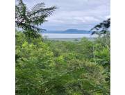 5,5 HA. PROPIEDAD EN SAN BERNARDINO - COMPAÑIA MATIAUDA