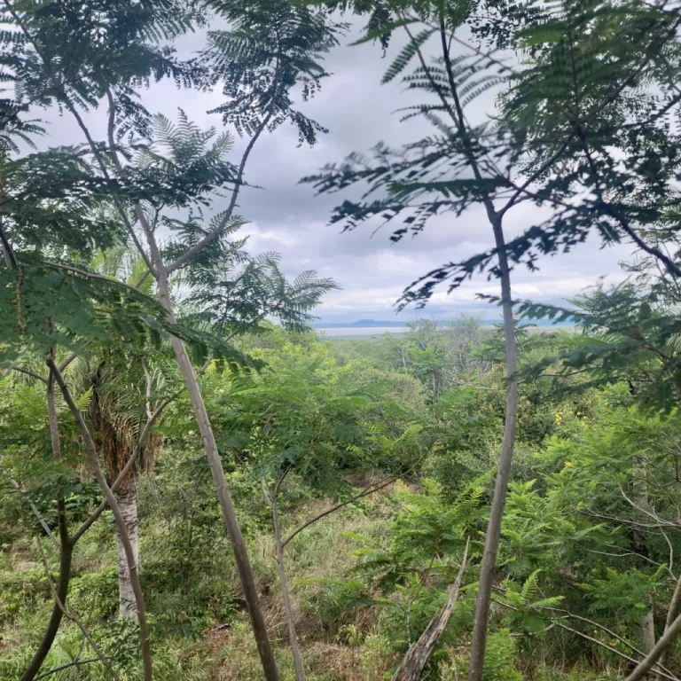 5,5 HA. PROPIEDAD EN SAN BERNARDINO - COMPAÑIA MATIAUDA — foto 3