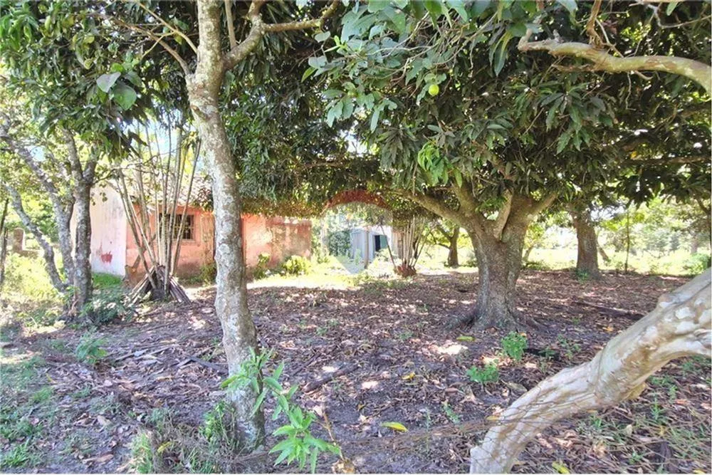 Terreno - Venta - Yataity del Norte, Paraguay — foto 2