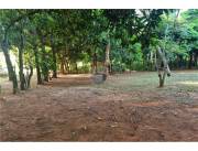 Tres Terrenos en venta en Itaugua