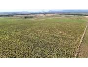 Vendo Estancia de 723 Hectáreas en Paraguarí - CLCS7389800