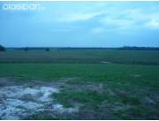 ALTO VERA /S. PEDRO DEL PARANA, ITAPUA: 8.653 HAS ALTAMENTE AGRO-GANADERA, REFORESTACIÓN.