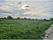 Campo Ganadero en Montelindo - 4750 Ha.