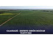 Estancia Agropecuaria de 10.019 hectáreas en el departamento de Caaguazú