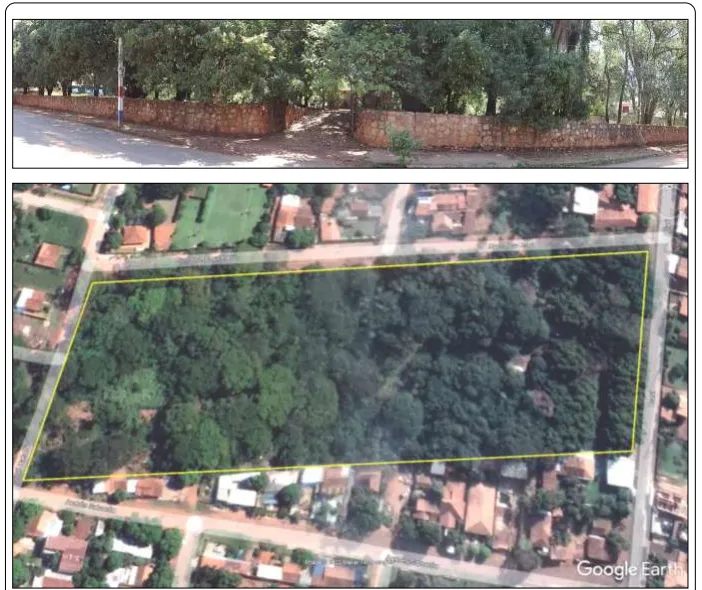 Imponente Lote de 2.8 Hectareas en San Lorenzo — foto 3