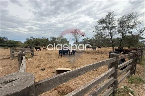 EstanciaCampo-Venta-PY Boquerón Neuland — foto 2
