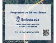 EN VENTA 68 HECTAREAS EN EMBOSCADA