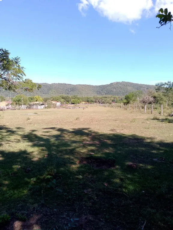 Vendo terreno 1.7 hectáreas Piraju sobre ruta km 23 — foto 3