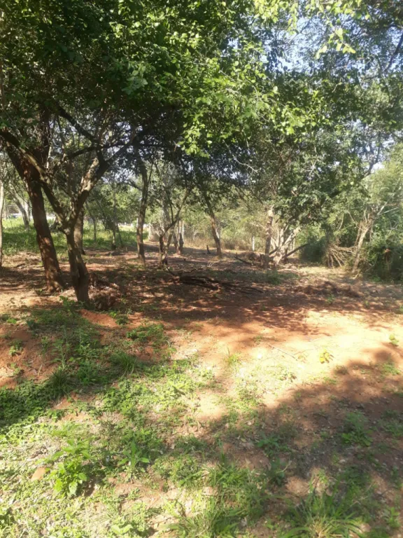 Vendo terreno 12x30 m en Itá Anguá – Luque — foto 2