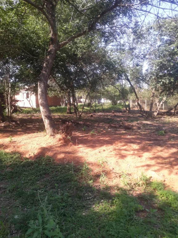Vendo terreno 12x30 m en Itá Anguá – Luque — foto 3