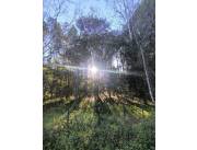 VENTA DE TERRENO EN EUSEBIO AYALA - OPORTUNIDAD UNICA DE INVERSION