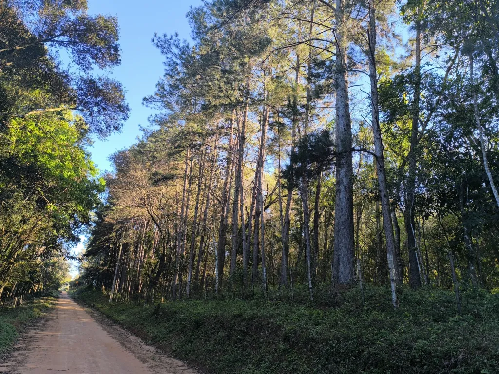 VENTA DE TERRENO EN EUSEBIO AYALA - OPORTUNIDAD UNICA DE INVERSION — foto 2
