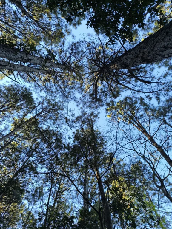 VENTA DE TERRENO EN EUSEBIO AYALA - OPORTUNIDAD UNICA DE INVERSION — foto 3