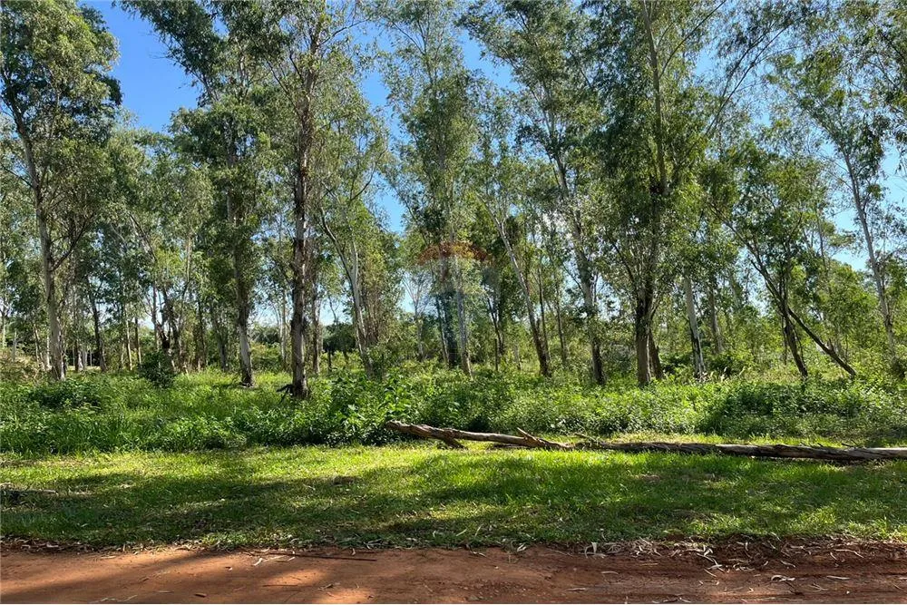 Vendo terreno en sanber — foto 2