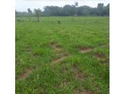 400 HECTAREAS ZONA NUEVA AURORA ITAPUA - 4000 HTRS ZONA SAN IGNACIO MISIONES