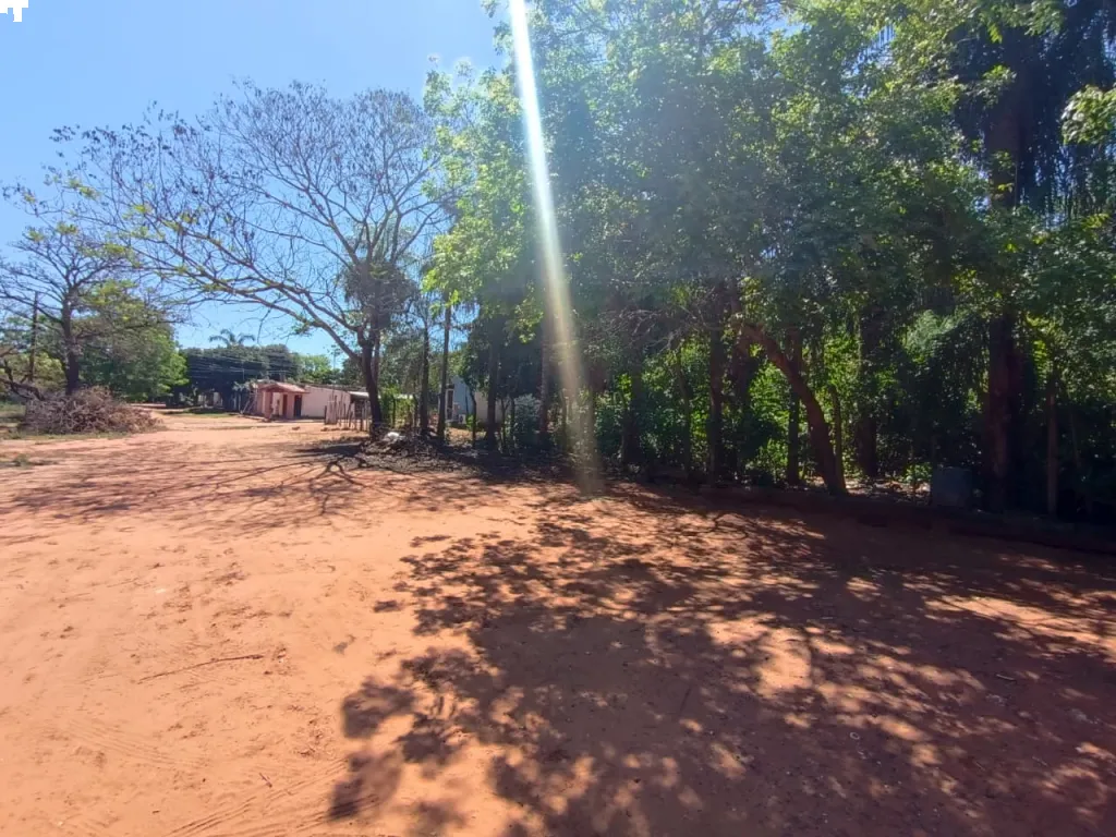 VENDO TERRENO EN ISLA BOGADO — photo 2