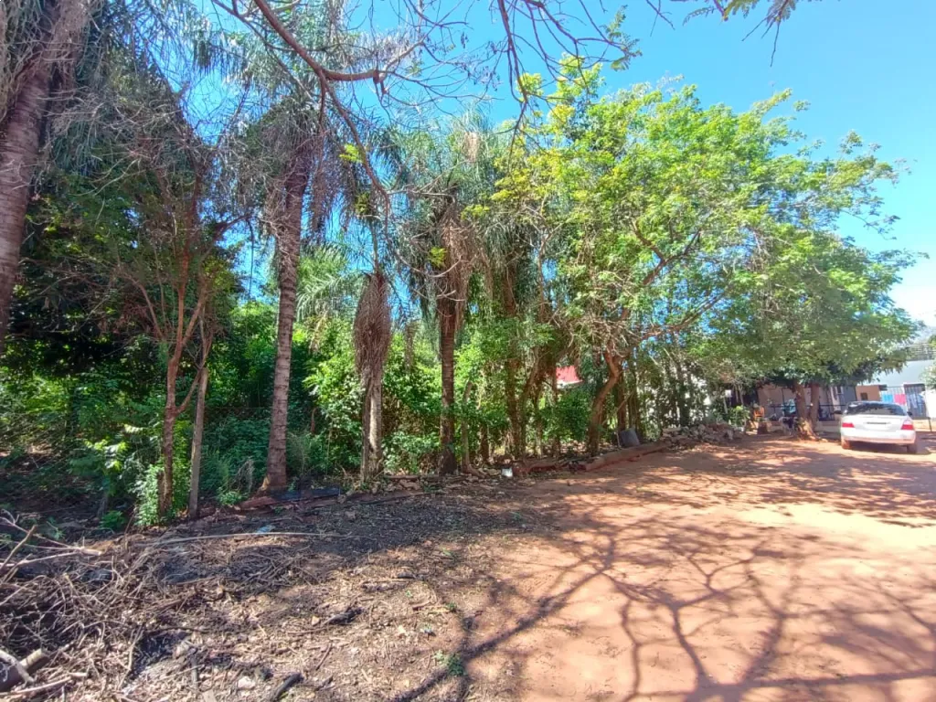 VENDO TERRENO EN ISLA BOGADO — photo 3