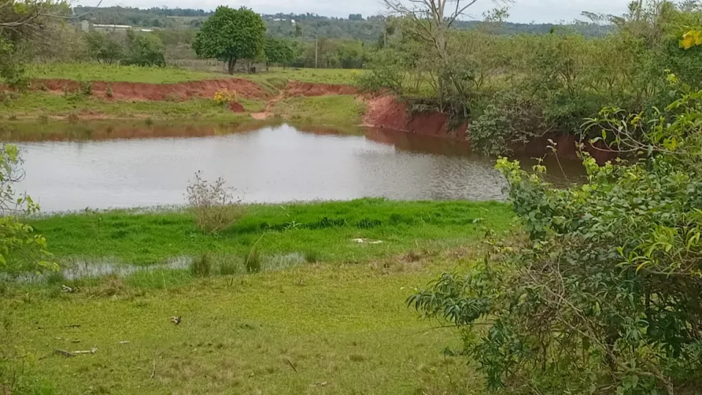 GANADERA 🇵🇾 — foto 2