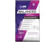 Vitalcan Balanced es ideal para cachorros de razas grandes porque su Programa es Óptimo.