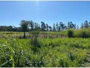 TERRENO DE 2 HECTÁREAS EN VENTA