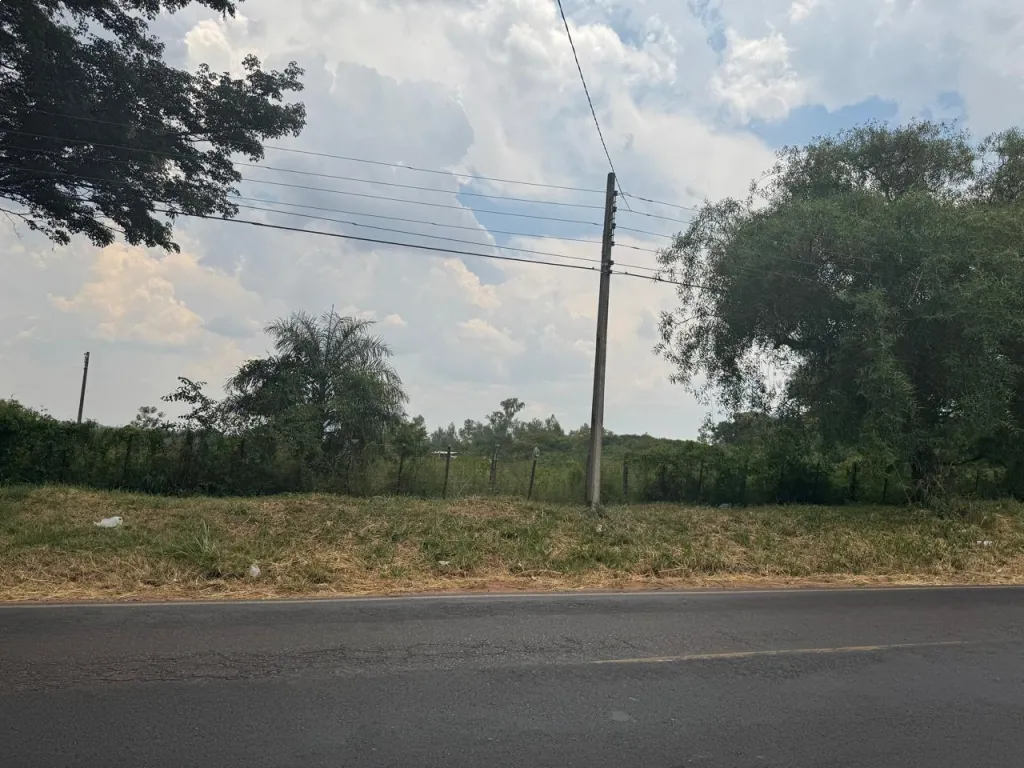TERRENO DE 2 HECTÁREAS EN VENTA — photo 2