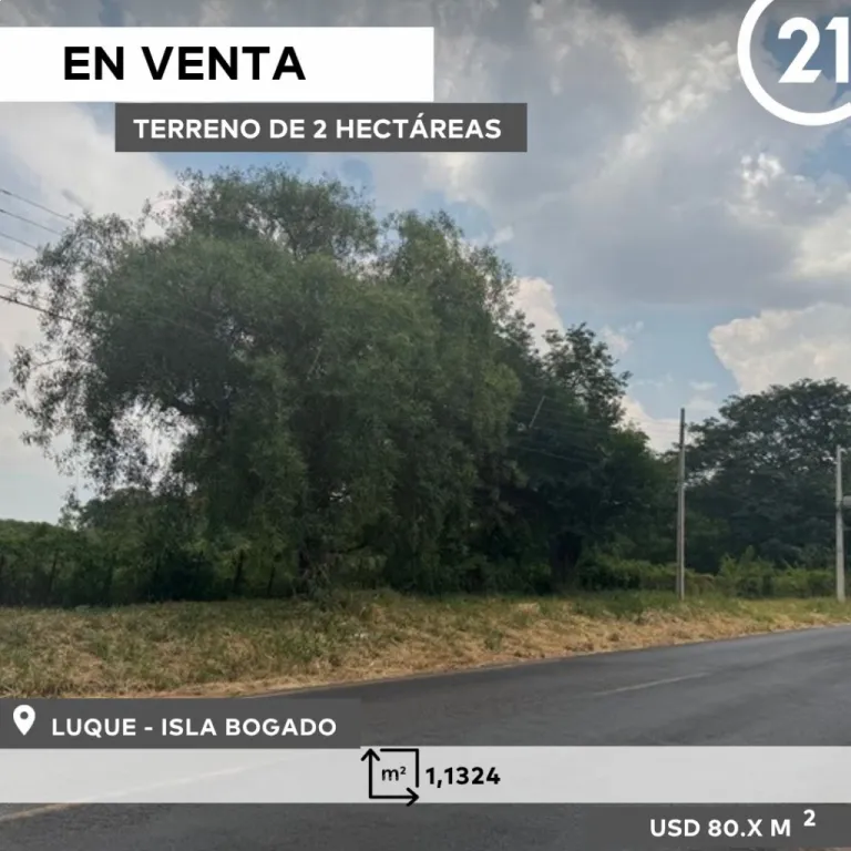 TERRENO DE 2 HECTÁREAS EN VENTA — photo 3