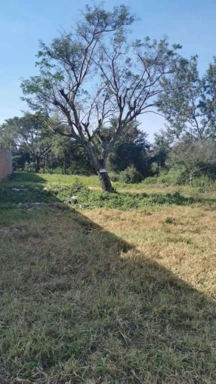 EN VENTA TERRENO EN BARRIO VILLA ROSITA DE AREGUA — foto 2