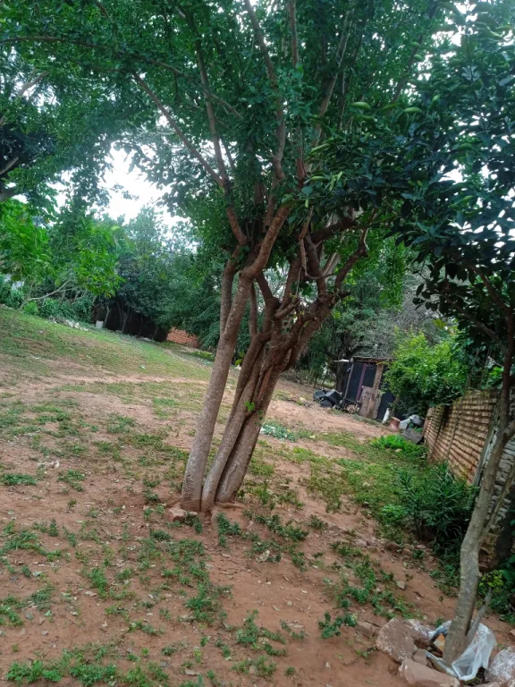 Terreno — foto 2