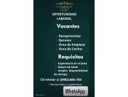 Oportunidad Laboral