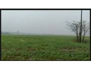 VENDO CAMPO EN MINGA GUAZU
