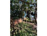 Vendo terreno en San Estanislao