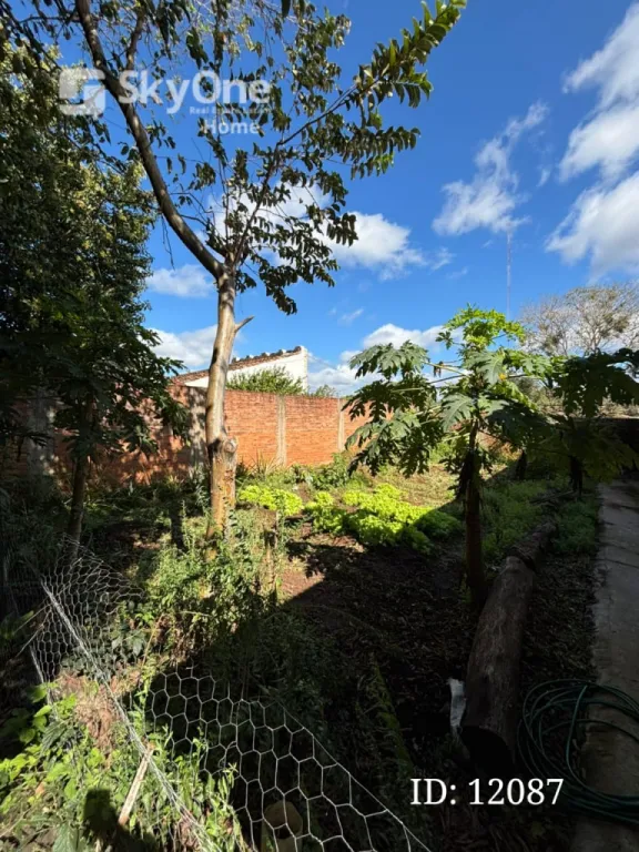 Vendo terreno en San Estanislao — foto 2