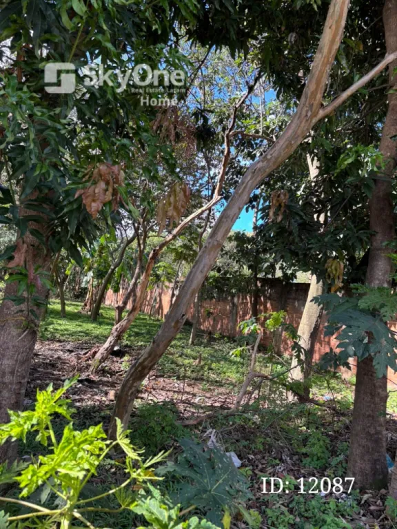 Vendo terreno en San Estanislao — foto 3