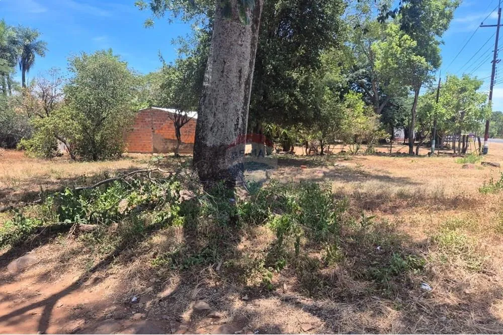 VENDO TERRENO EN EMBOSCADA SOBRE RUTA — foto 3