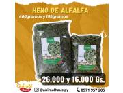 Heno de alfalfa para conejos, cobayos, hamsters