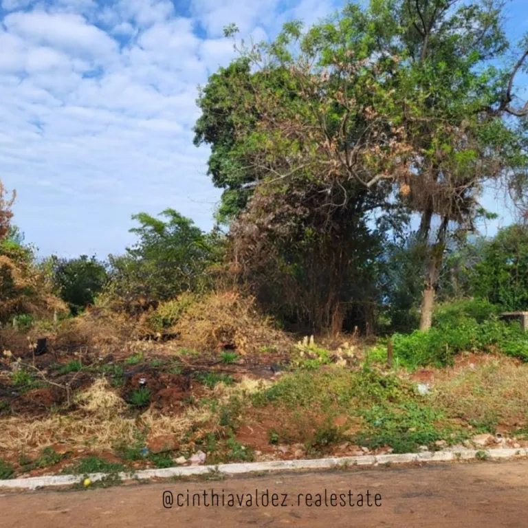 EN VENTA 1 HECTAREA EN LUQUE- DETRAS DE RAKIURA — photo 2