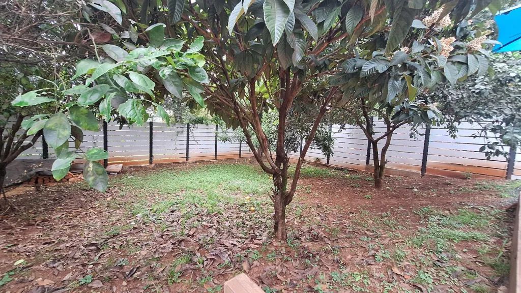 EN VENTA CASA A METROS DE PLAYA ISIDRO — foto 2