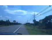 RUTA VILLETA ALBERDI - VENDO 37 HECTAREAS!!