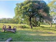 Campo Agrícola/Ganadero en Cecilio Baez sobre Ruta - 200 Ha.