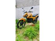 Bumblebee Taiga Moto
